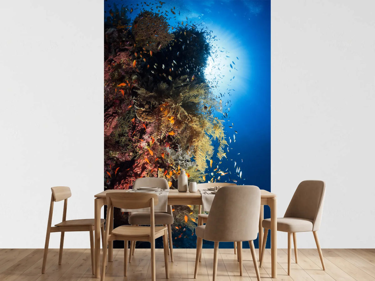 photo-wallpaper-life-explosion-ii