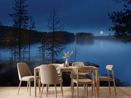 photo-wallpaper-night-mist-x