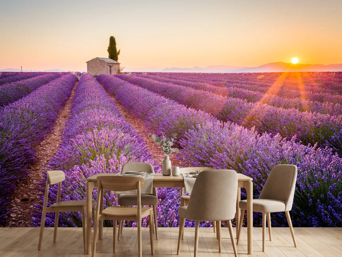 photo-wallpaper-rays-of-sunshine-over-fragrant-lavender