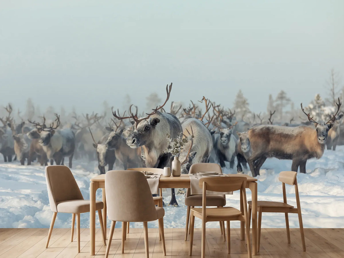 photo-wallpaper-reindeers-x