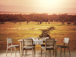 photo-wallpaper-picturesque-africa