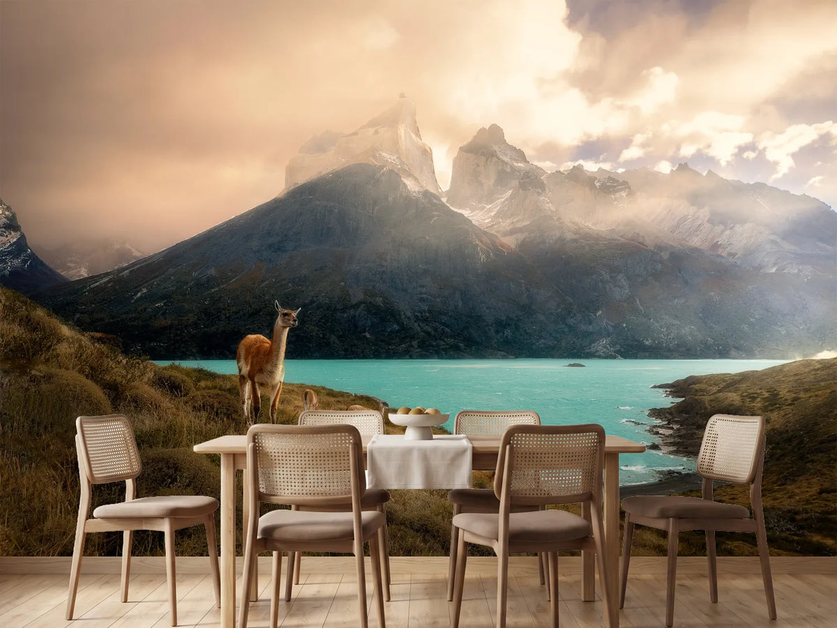 photo-wallpaper-patagonia-guanaco-peaks