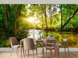 photo-wallpaper-stream-through-the-forest-in-the-bright-light-of-the-sun