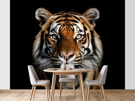 photo-wallpaper-tiger-portrait-against-deep-black-with-amber-eyes
