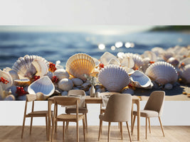 photo-wallpaper-seashell-serenity-2