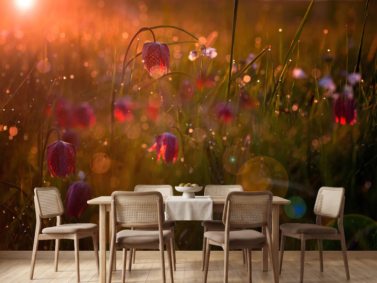 photo-wallpaper-potpourri-x