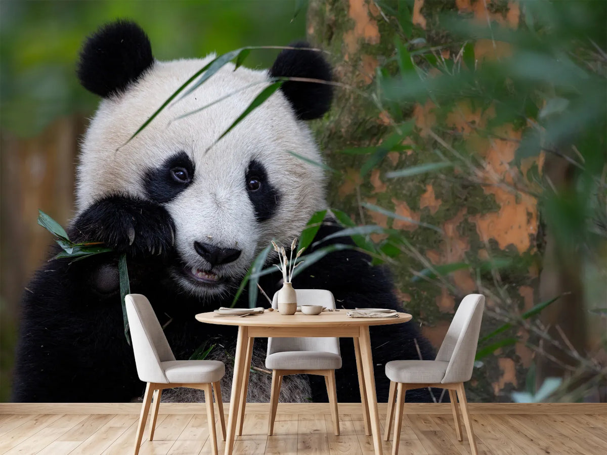 photo-wallpaper-bamboo-time-x