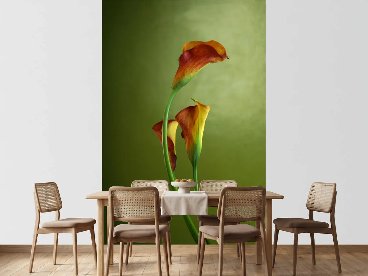 photo-wallpaper-3-callas