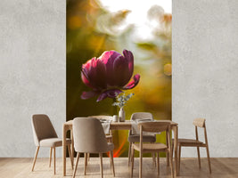photo-wallpaper-dark-tulips-beauty