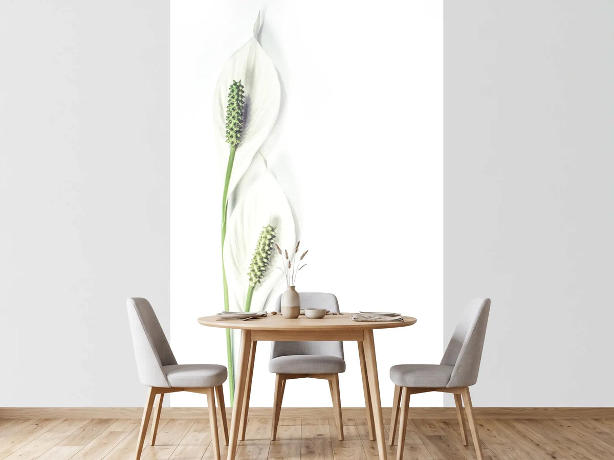 photo-wallpaper-lily-seed-pods