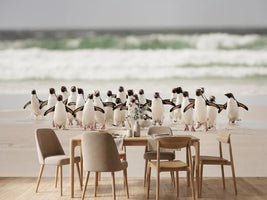 photo-wallpaper-desembarco