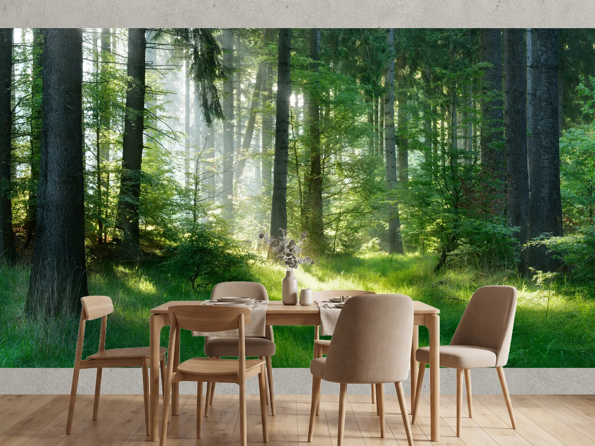 photo-wallpaper-sunlit-forest-glade-with-morning-mist-over-fresh-green-grass