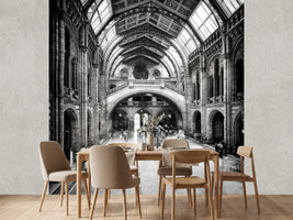 photo-wallpaper-natural-history-museum-of-london-x