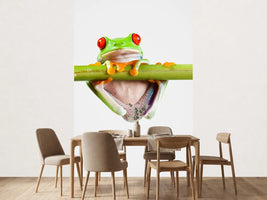 photo-wallpaper-frog-acrobatics