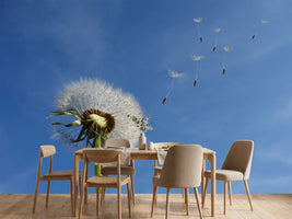 photo-wallpaper-dandelion-i-wish-for-something