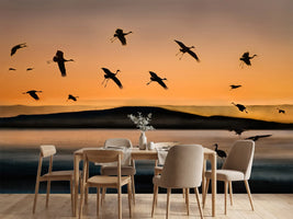 photo-wallpaper-fly-in-at-sunset