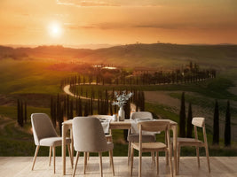photo-wallpaper-tuscany-evening