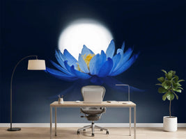 photo-wallpaper-fleeting-dream-x