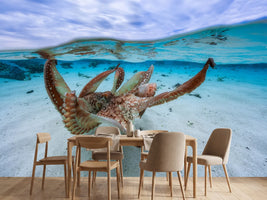 photo-wallpaper-octopus-ii