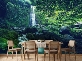 photo-wallpaper-nature