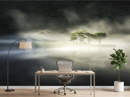 photo-wallpaper-misty-island-trees-reflection