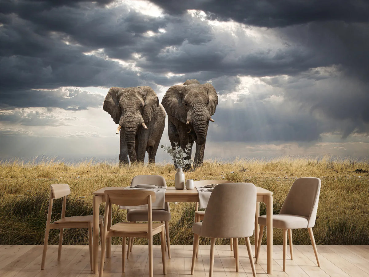 photo-wallpaper-african-elephants-dramatic-sky