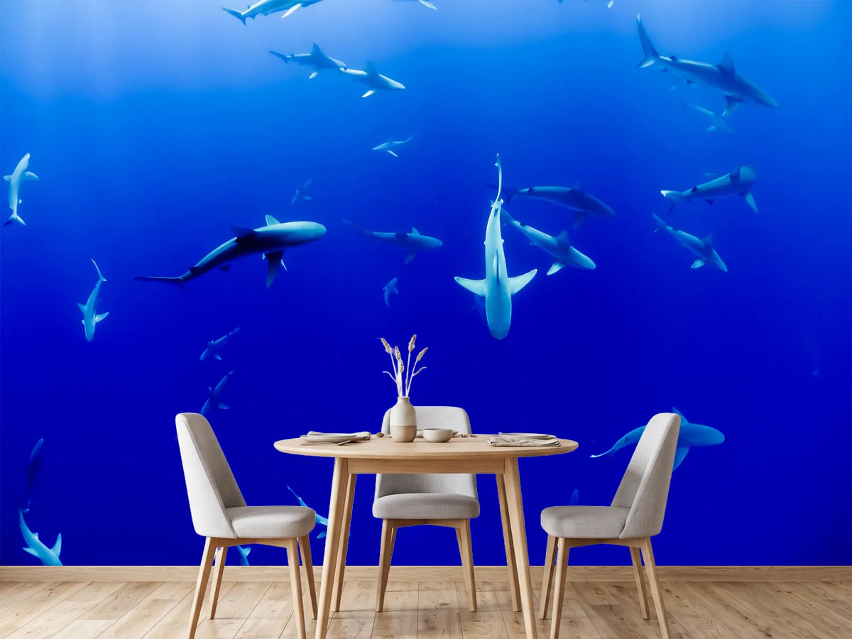 photo-wallpaper-in-the-shark-tank