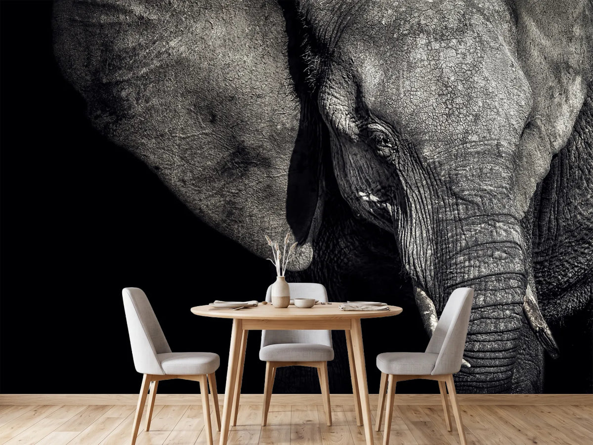 photo-wallpaper-the-matriarch