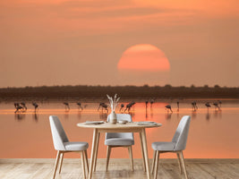 photo-wallpaper-flamingos-at-sunrise-x