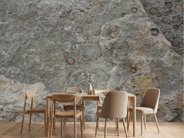 photo-wallpaper-fossilized-rock-texture