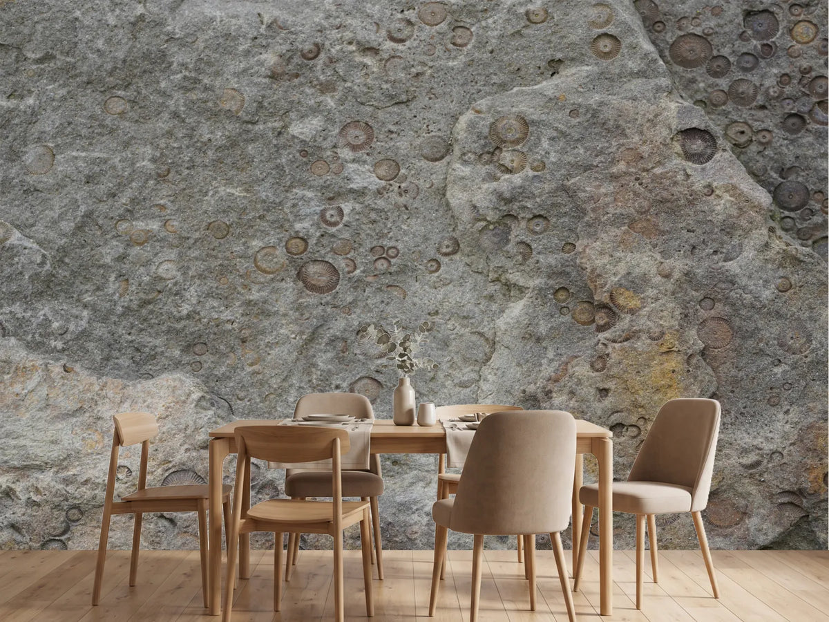 photo-wallpaper-fossilized-rock-texture