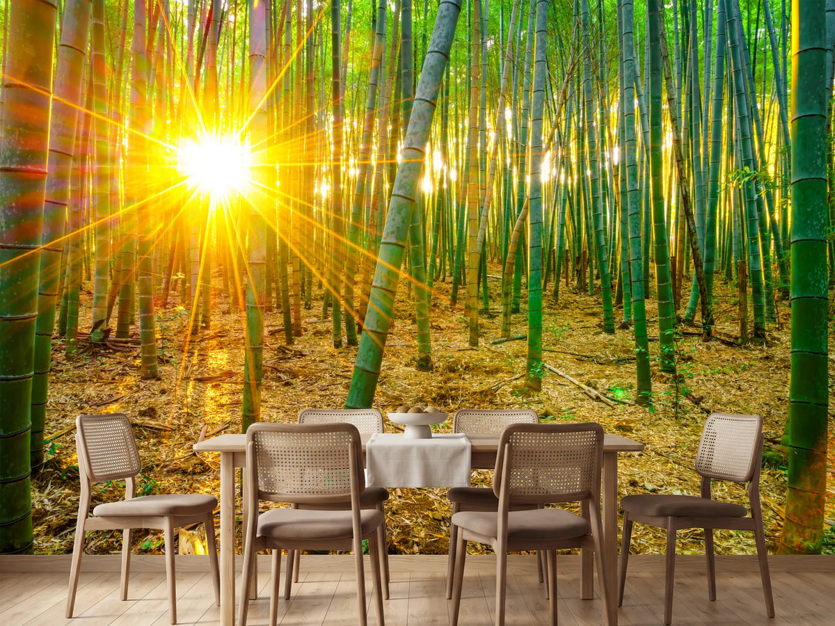 photo-wallpaper-bamboos