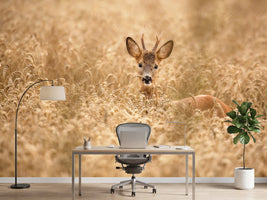 photo-wallpaper-deer-in-the-field-x
