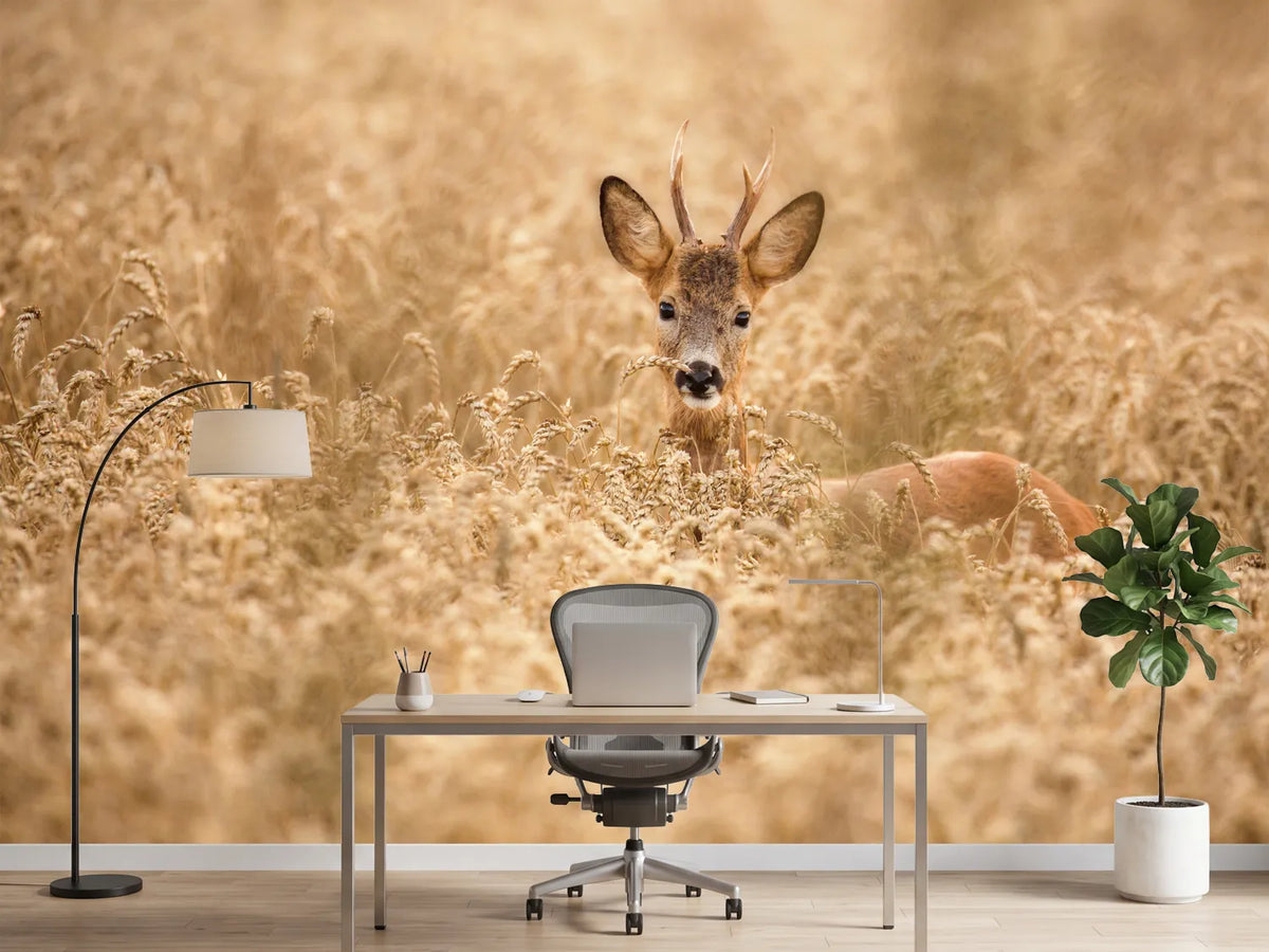 photo-wallpaper-deer-in-the-field-x