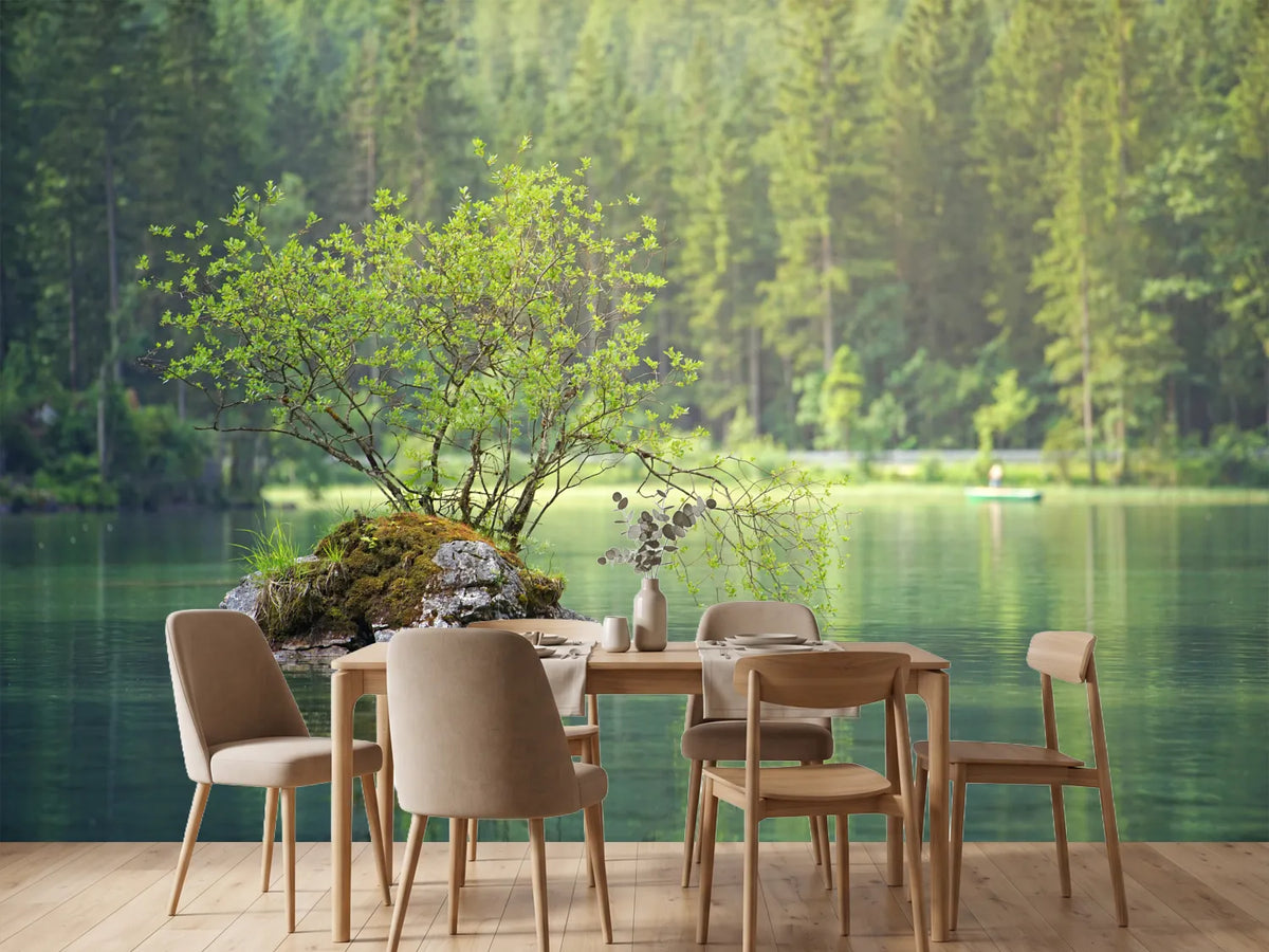 photo-wallpaper-the-pond-in-the-forest