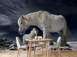 photo-wallpaper-partners-x