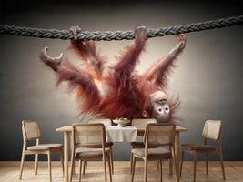 photo-wallpaper-don-t-murder-our-primeval-forests-x
