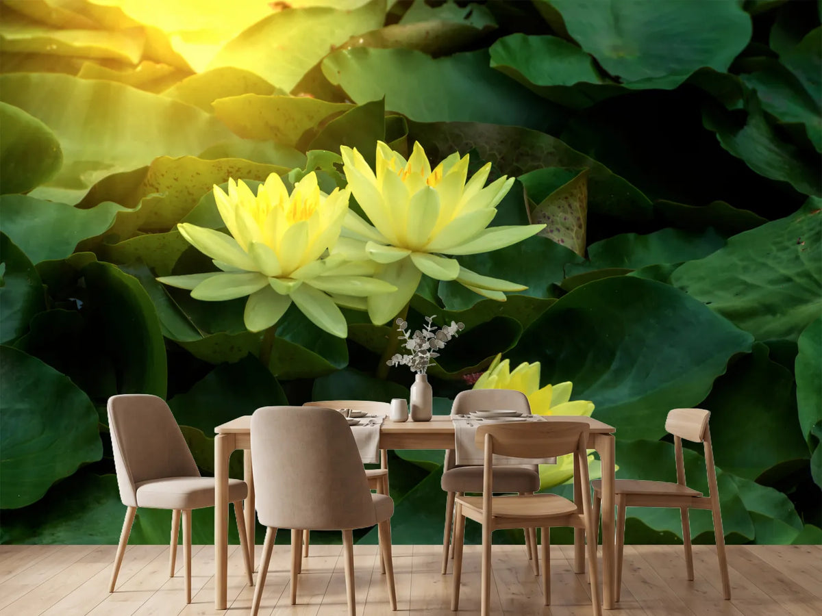 photo-wallpaper-wild-lotus