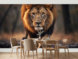 photo-wallpaper-male-lion-walking-looking-straight-at-the-camera-national-wildlife-day