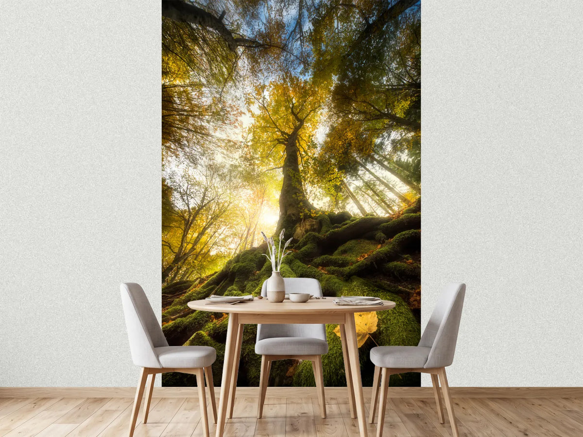 photo-wallpaper-the-goodbye-of-a-leaf