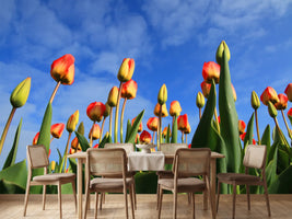 photo-wallpaper-tulips-tower-to-the-sky