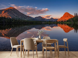 photo-wallpaper-delightful-dawn-x