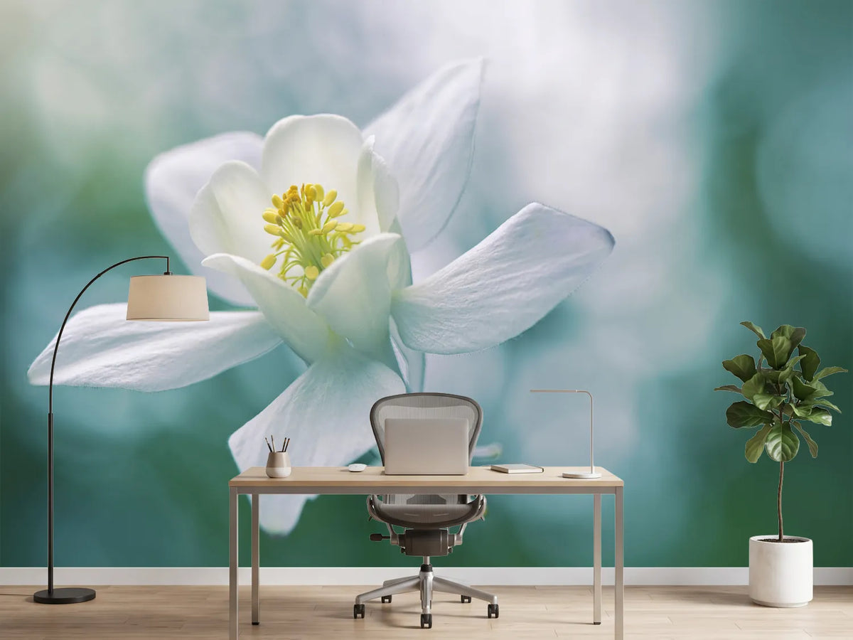 photo-wallpaper-purity-xbj