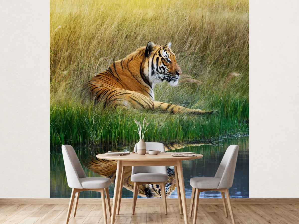 photo-wallpaper-the-tiger