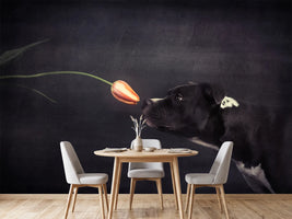 photo-wallpaper-first-approach-hildegard-and-the-tulip