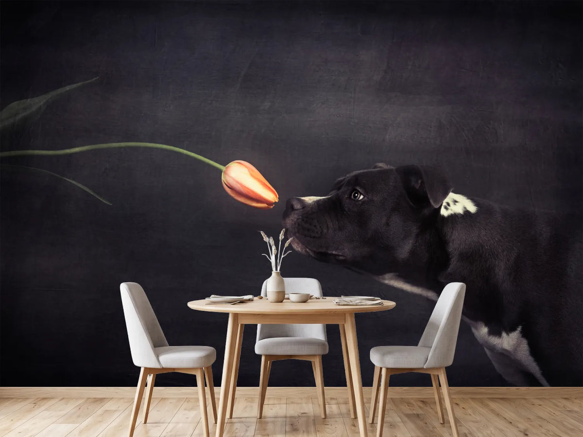 photo-wallpaper-first-approach-hildegard-and-the-tulip