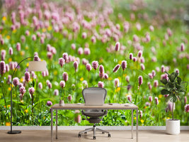photo-wallpaper-clover