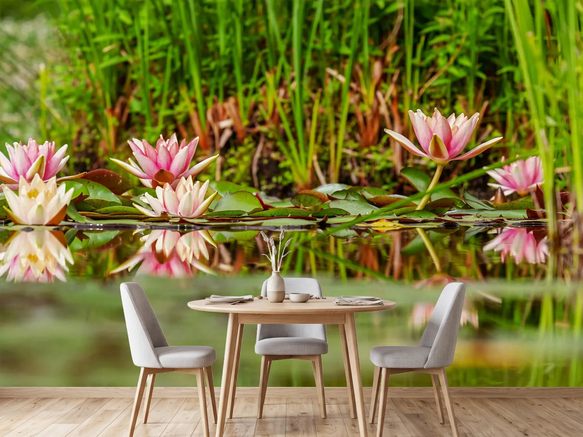 photo-wallpaper-wild-water-lilies