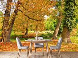 photo-wallpaper-in-the-middle-of-autumn-trees