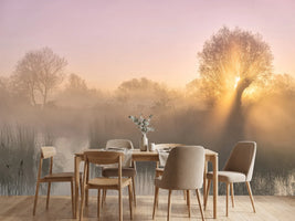 photo-wallpaper-silence-xwc